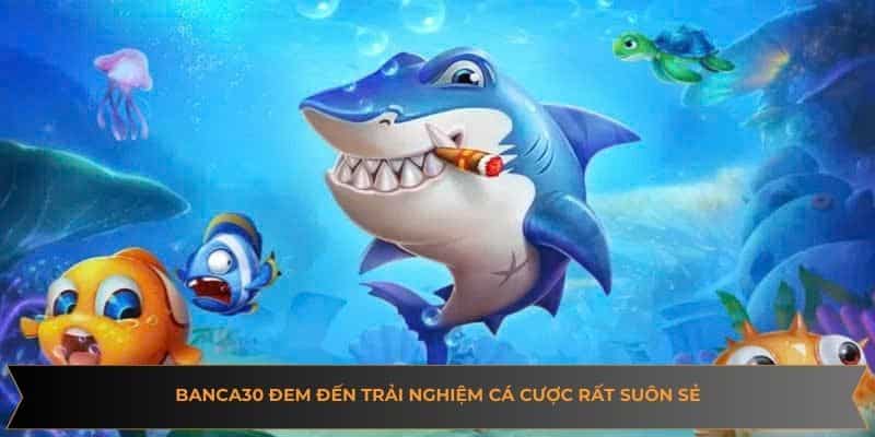 Banca30 đem đến trải nghiệm cá cược rất suôn sẻ
