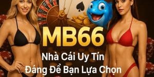 MB66 – nhà cái uy tín đáng để bạn lựa chọn