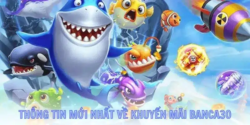 Bạn cần kiểm tra tài khoản email và theo dõi fanpage Banca